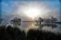 1- Jeff Winchurch, Misty Morning,  Cundell Trophy best print & Eileen Waddley Trophy best standard image